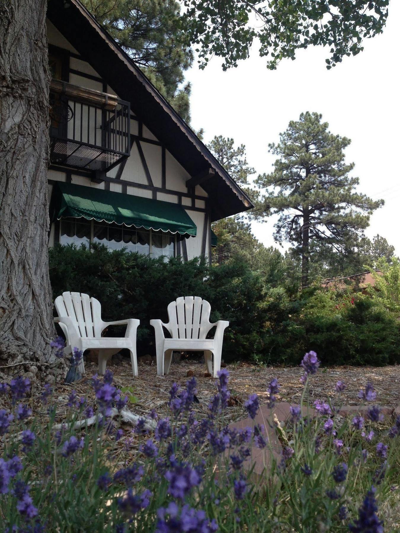 Mountain Haven Inn Pinetop-Lakeside Kültér fotó