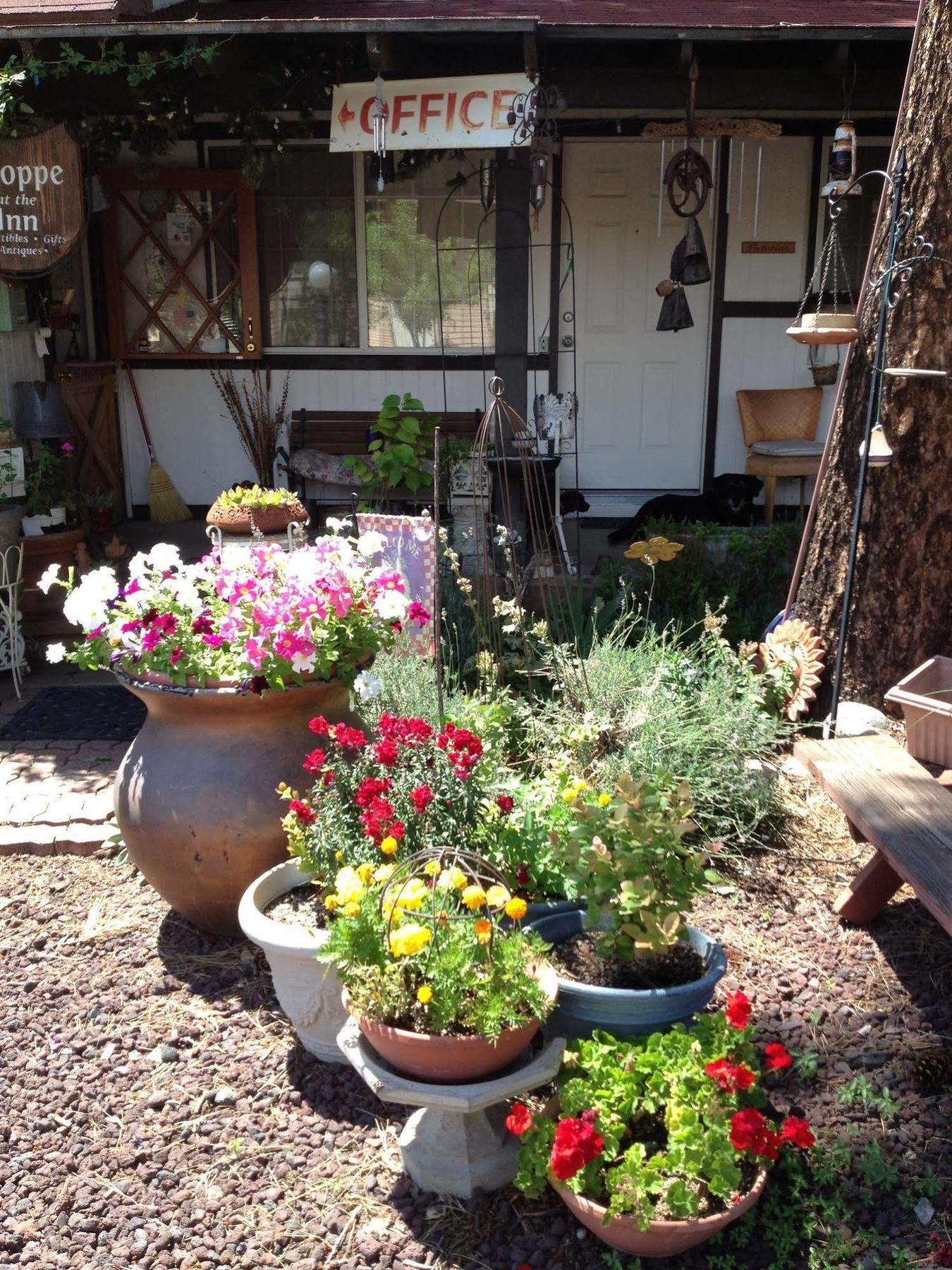 Mountain Haven Inn Pinetop-Lakeside Kültér fotó